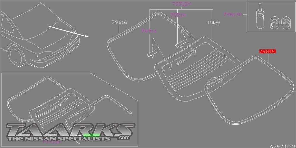 Window Moulding / Seal (Rear)