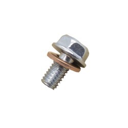 Water Neck / Outlet Bleed Bolt "S13, 180sx, S14, S15"