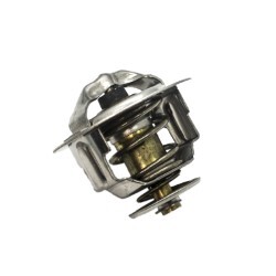 Thermostat (TD42) "Y60 - GQ, Y61 - GU, W41, E24"