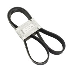 Fan / Serpentine Belt "D40, R51"