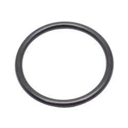 Fuel / Gas Tank Filler Neck O-Ring "R32, C33, A31"