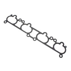 Intake Gasket "P12, T30"