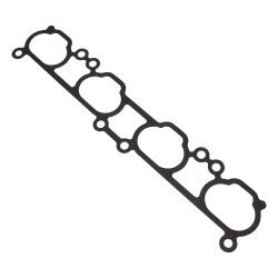 EFI - Intake Gasket "P11, N15"