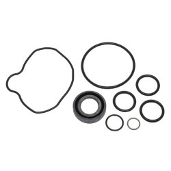 Power Steering Pump Seal Kit "C33, C34, R32, R33"