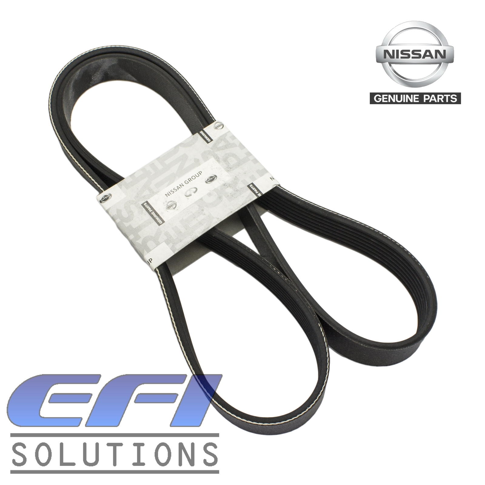 Serpentine belt in best sale spanish