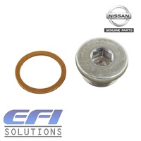 Rocker Shaft Plug + Washer "P11, P12, T30, N15"