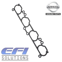 Intake Gasket "P11, N15"