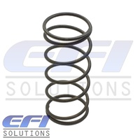 Tial V60 Black Spring