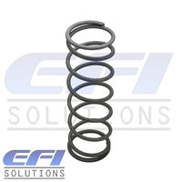 Tial V60 White Spring
