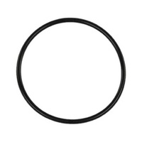 Turbosmart BOV Race Port Flange O-Ring