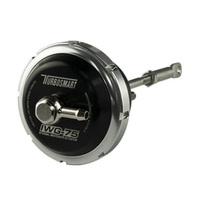Turbosmart IWG Wastegate Actuator Suits Ford XR6 12 Psi