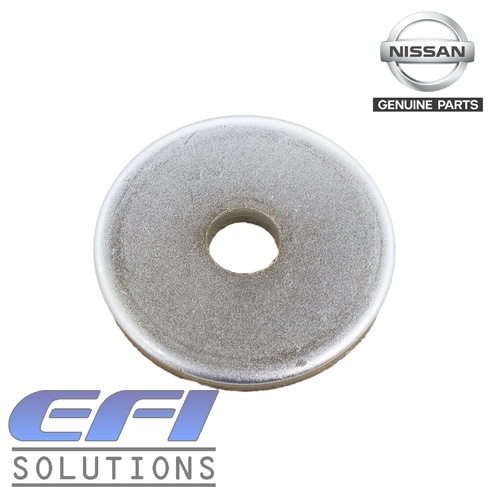 Differential Mounting Washer "S14, R33"